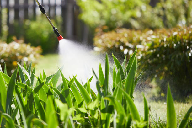 24/7 Emergency Mosquito Control experts in Santa Ana, CA