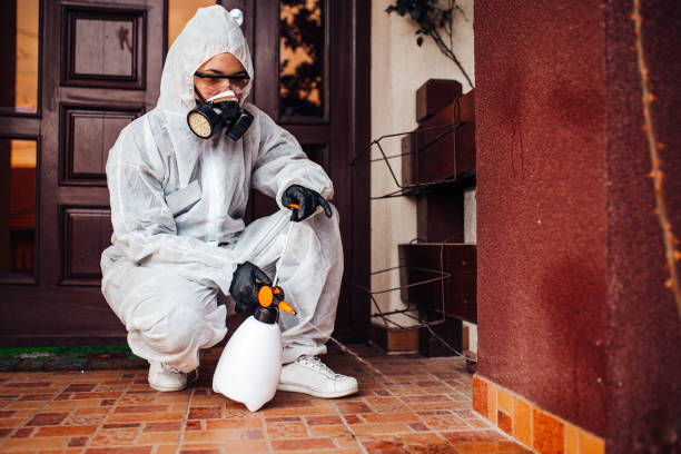 Reliable Mosquito Control contractor in Santa Ana, CA by Show Me Pest Control